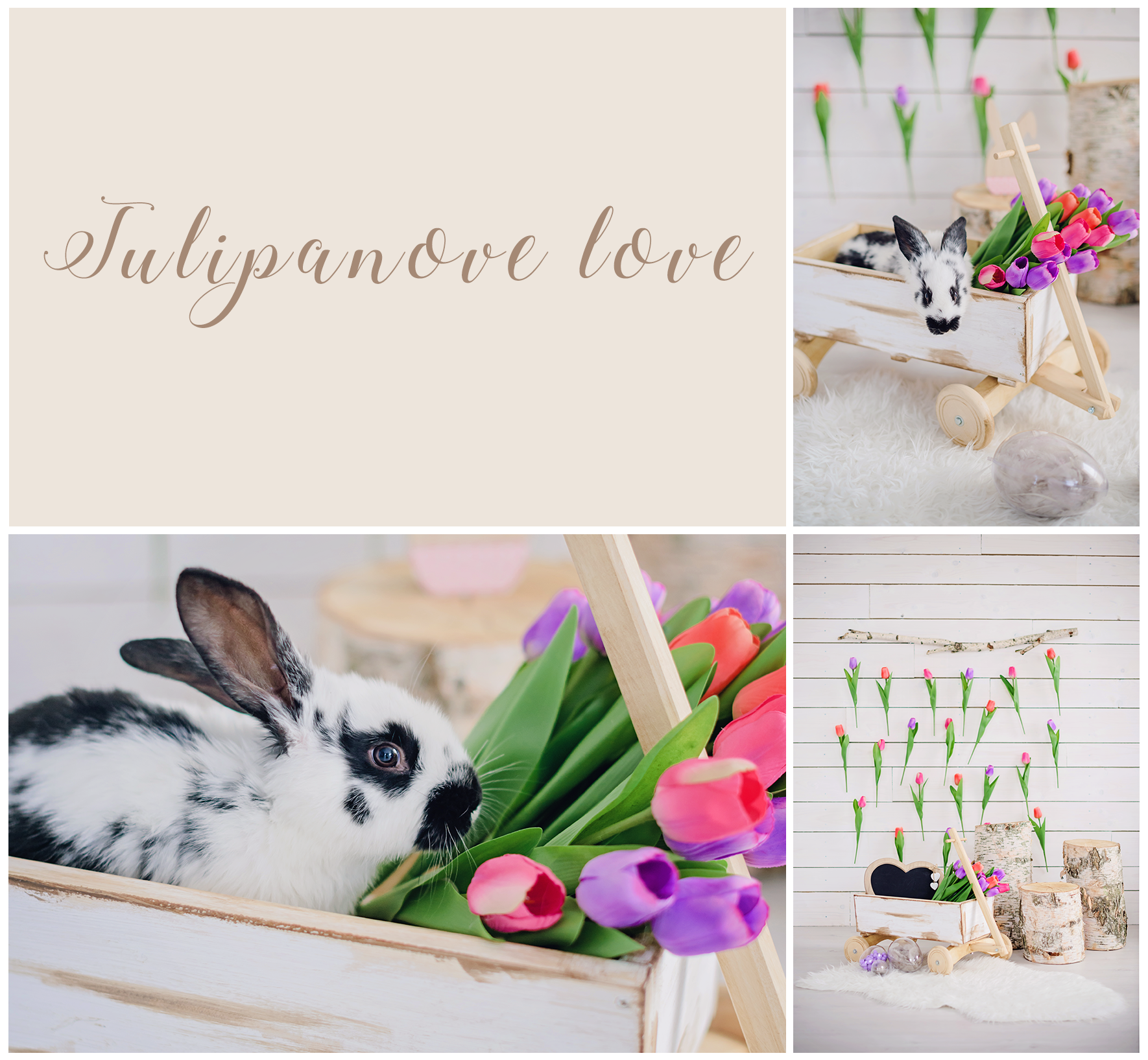 Tulipanove love.png